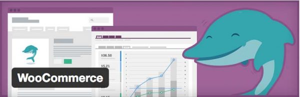 woocommerce wordpress shop